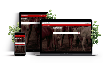 ArabianPedigreeAll.com | Arap Safkan Yarış Atı Genetik Analiz ve Raporlama Portalı